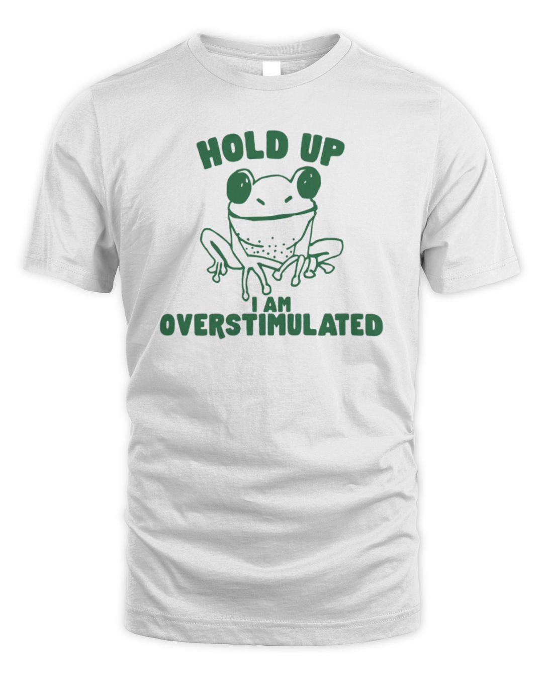 Hold Up I'm Overstimulated 2024 Hoodie Sweatshirt